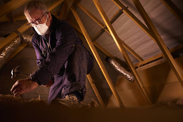 Best Eco-Friendly Insulation in Waynesboro, PA
